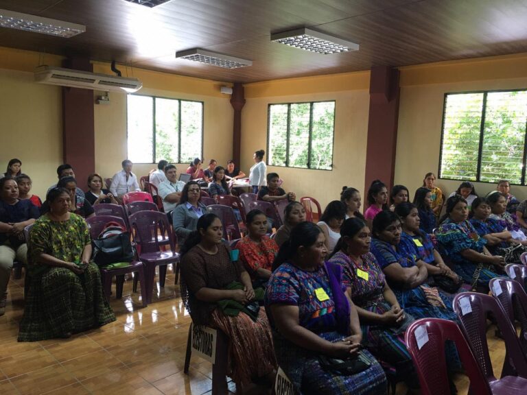 Elección de Titular y Suplente, Organizaciones de Mujeres.