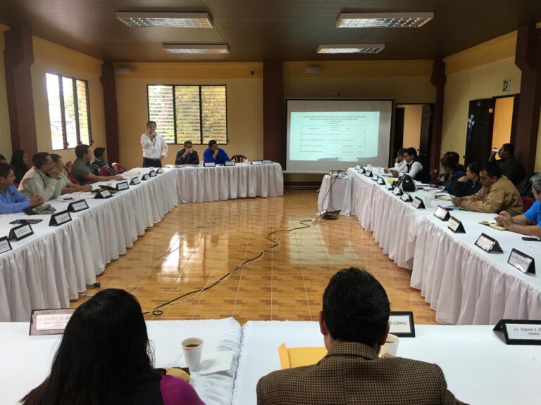 Reunión Ordinaria de Consejo Departamental de Desarrollo