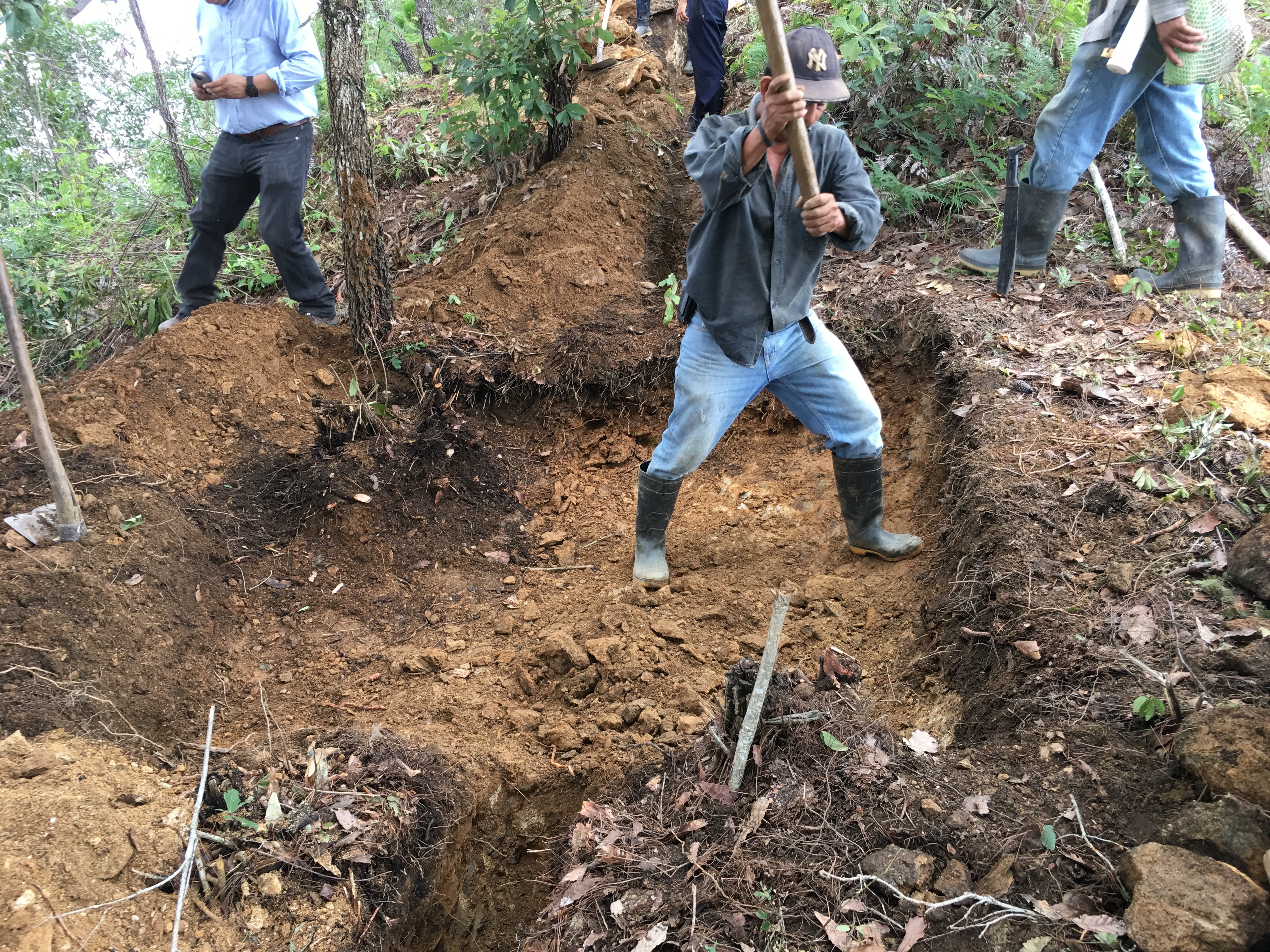 Avance Físico Proyectos de Inversión 2017